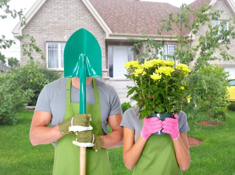 Customized lawn care plan being discussed by a local gardener