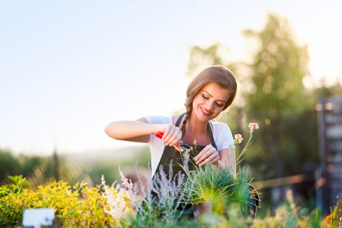 Professional lawnmowing service in London